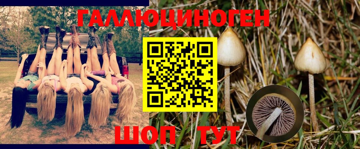 Красногорск  Галлюциногенные грибы GOLDEN TEACHER  Вход с VPN 